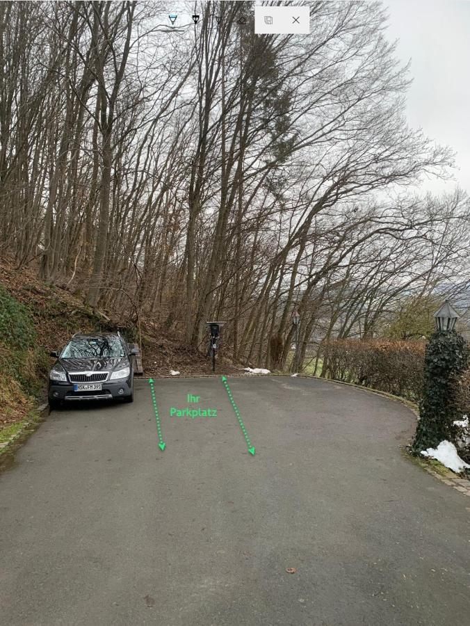 Berghaus 2 Komfortable Wohnungen Fuer Bis Zu 7 Personen - Familie - Wandern - E-Bike - Hunde - E-Ladesaeule - Wifi Шмаленберг Екстериор снимка